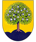 Město Nasavrky