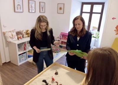 Rychlá cesta k odborné pomoci